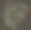 图案与草莓在白色的背景图片下载