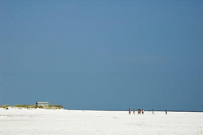 失去了家庭图片下载