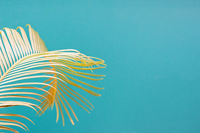 浅色背景素材ID：170135392