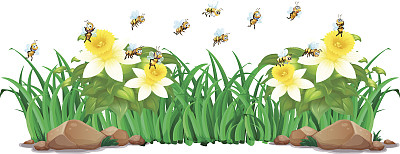 花园里有鲜花和蜜蜂素材图片