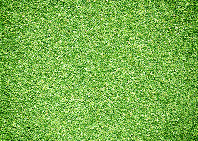 绿草的背景图片下载