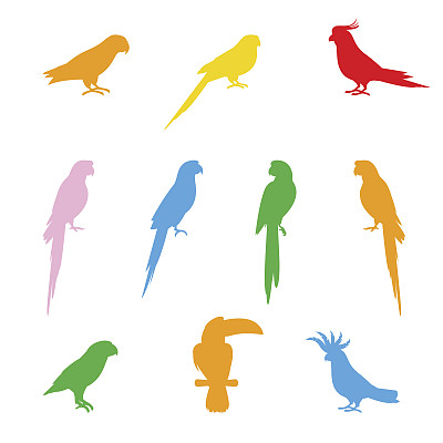 鸟和鹦鹉的轮廓，孤立在白色的背景。图片下载