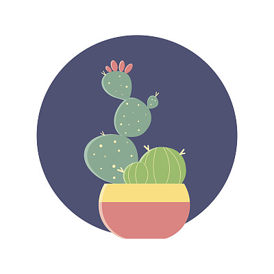 仙人掌花盆花园，现代自然家居微型绿色墙角装饰。平面向量插图。图片下载