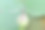 蜻蜓在莲花上图片下载