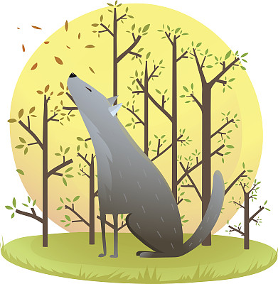 野狗或野狼独自坐在森林里嚎叫图片下载