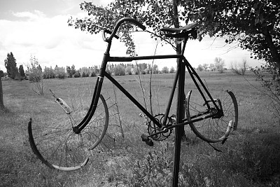 旧自行车永不凋零图片下载