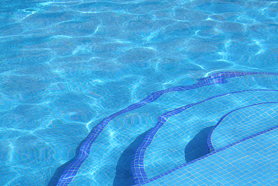 池的步骤图片下载