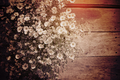 木桌上的白花复古风格图片图片下载