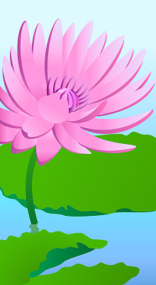 莲花图片下载