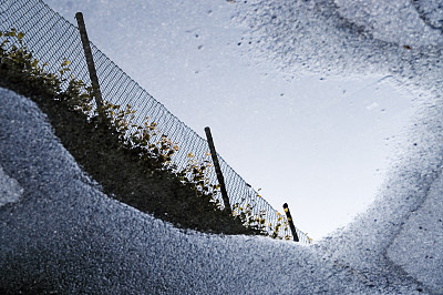 水坑反射图片下载