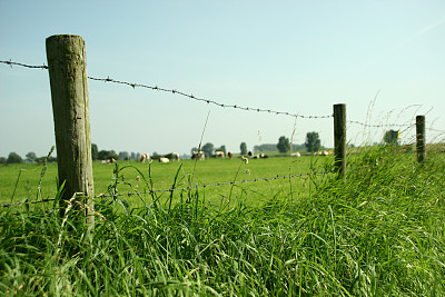典型的荷兰图片下载