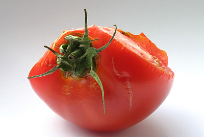 番茄细节# 3图片下载