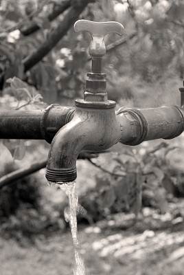 老水fossit图片下载