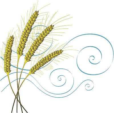 风格化的小麦和风图片下载