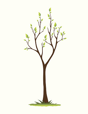 树在春天图片下载