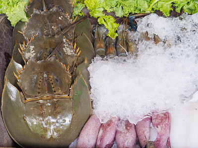 在海鲜超市里，马蹄蟹、虾和鱿鱼都在冰上冷冻图片下载