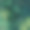 树叶图片素材ID：170353714