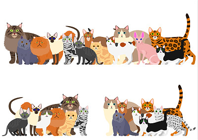 猫的边界设置图片下载