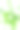 新鲜的绿叶和树木图片下载