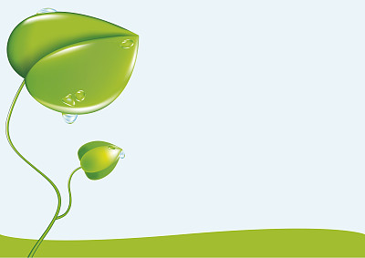 春天带露水的图片下载