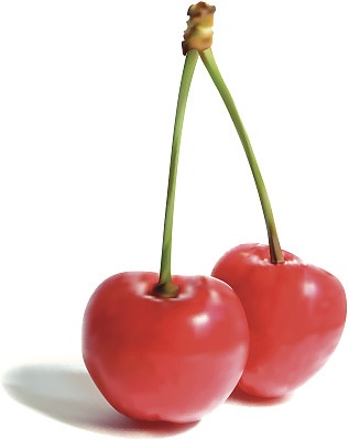 多汁的红樱桃(矢量& jpeg)图片下载