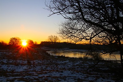 清晨在湖边和草地上图片下载