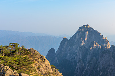 安徽黄山风光：黄山松树素材图片