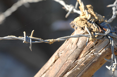 铁丝网图片下载