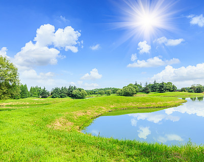 绿草自然风光图片下载