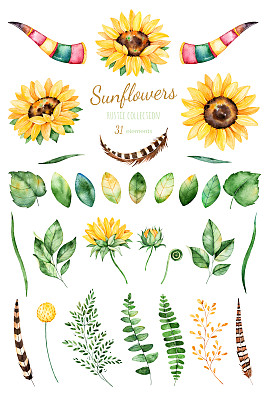 的手绘水彩向日葵素材图片