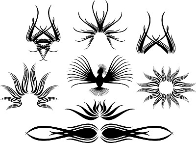 Calligraphical数据图片下载