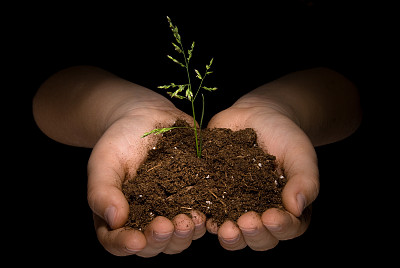 把植物放在孩子的手里图片下载