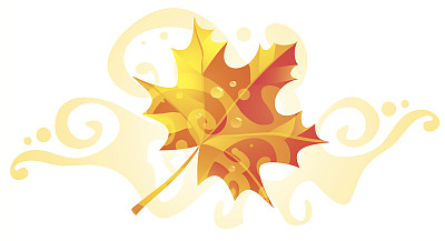 美丽的秋叶孤立在白色的背景上图片下载