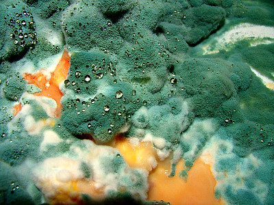 角膜脱臼3图片下载