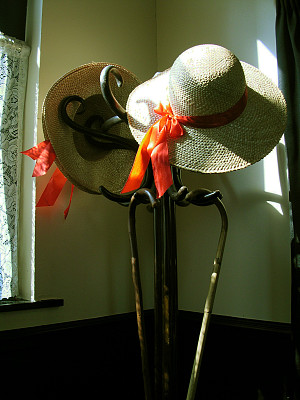 帽架和邦妮图片下载