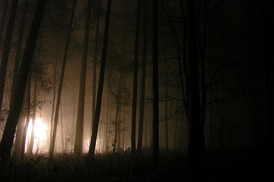 档案二世图片下载