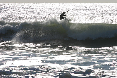太平洋冲浪者图片下载