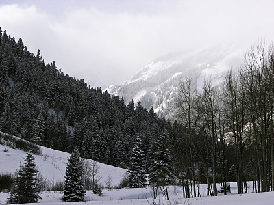 科罗拉多州斯诺马斯的早晨图片下载