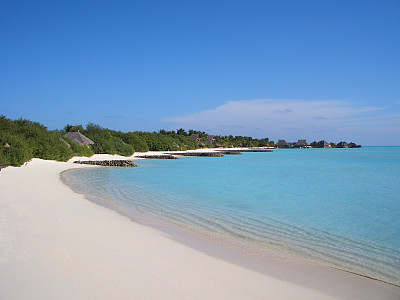 荒芜的海滩-马尔代夫2007年2月图片下载