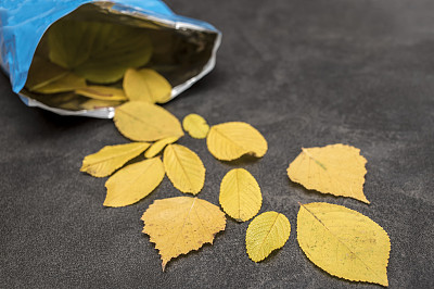 黄叶散落在薯片包里。图片下载