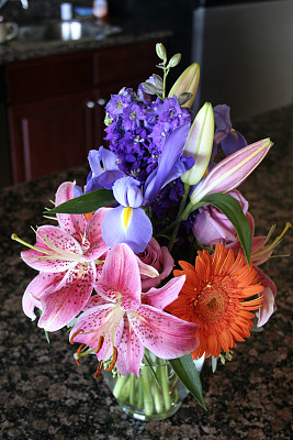 束鲜花图片下载