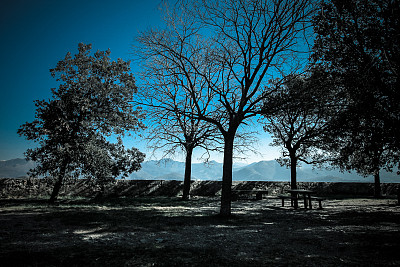 冬季景观与树木的剪影和山的背景。图片下载