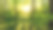 树木图片素材ID：170507158