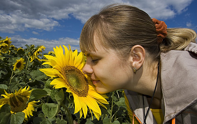 妇女和向日葵图片下载