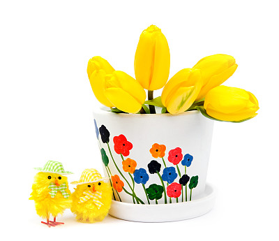 黄色的鸡肉和郁金香图片下载