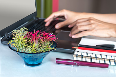 花瓶放在桌子上，双手在笔记本电脑上工作/商业和家庭装饰概念图片下载