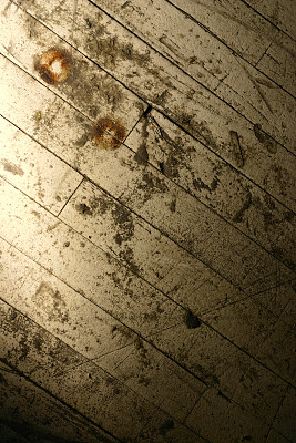 严厉的地板图片下载