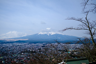 樱花塔上的富士山图片下载