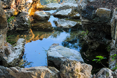 泉水源于野生森林。图片下载