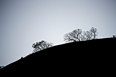 曼哈顿图片下载